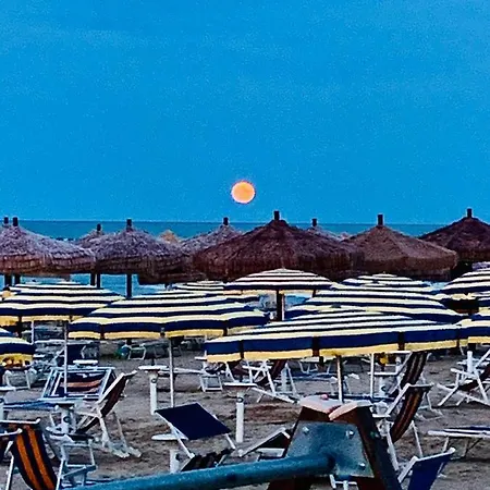 Nel Pineto Montesilvano Marina