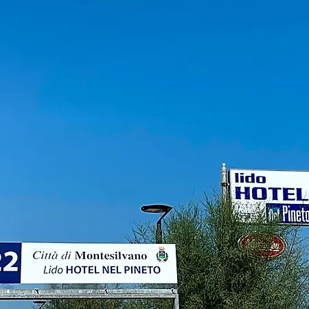 Nel Pineto