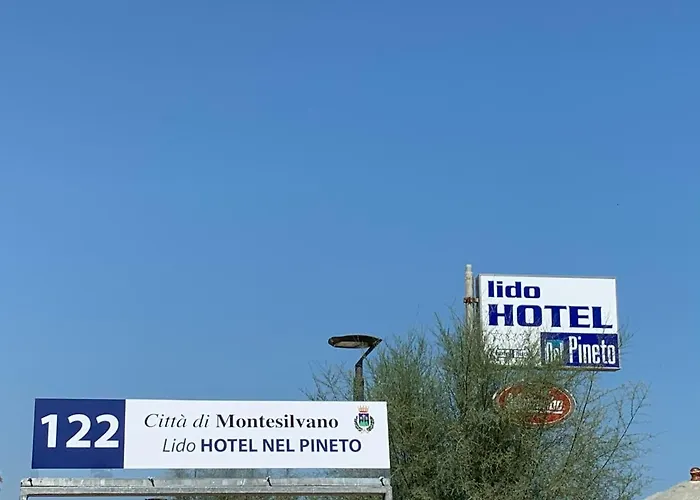 Hotel Nel Pineto 3*